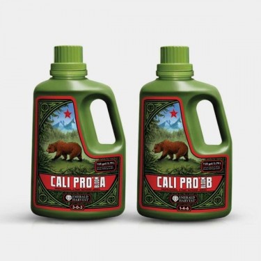 Cali Pro Bloom A+B 3,79L