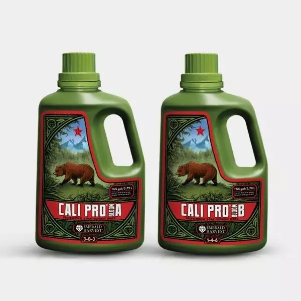 Cali Pro Bloom A+B