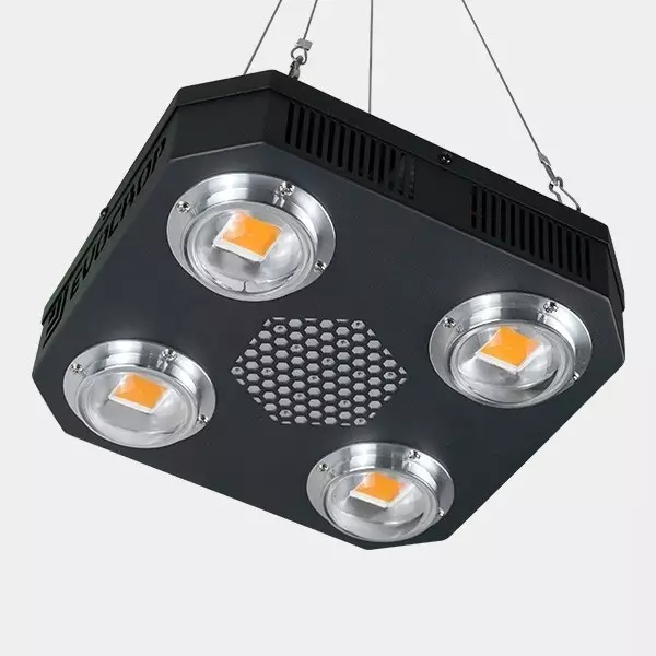 Buy LED Weissman V1 Panel by Evocrop - GB The Green Brand