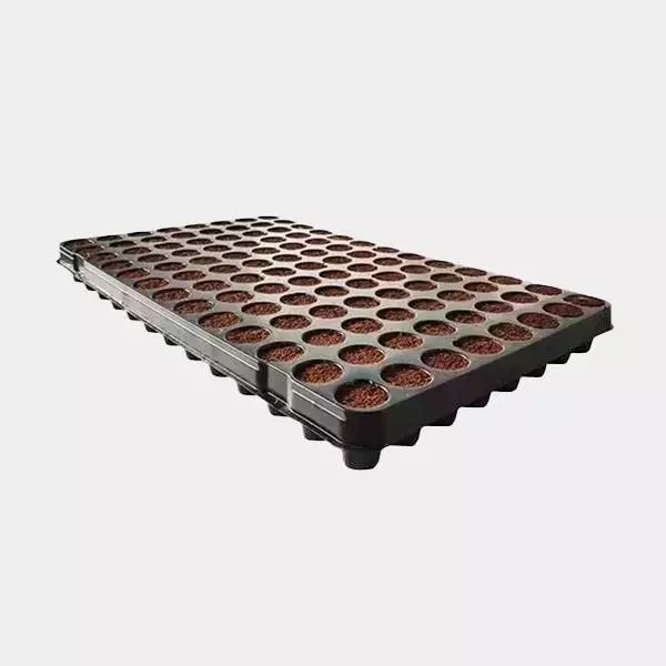 View Coco Plug-in Tray 104 Alveoli - GB The Green Brand