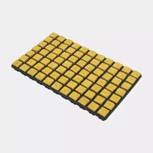 Rockwool Cube Tray for Seeds and Clones - GB