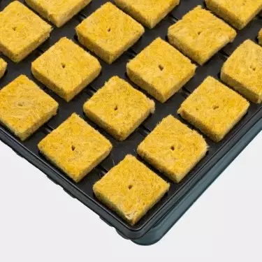 Bandeja Tacos Lana de Roca 77 Alveolos Zoom