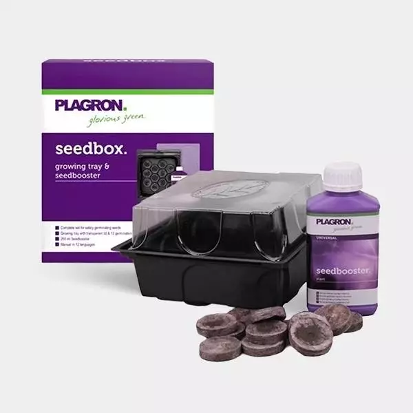 View Kit Seedbox para germinar sementes de Plagron - GB The Green Brand