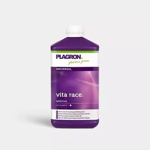 Vita Race
