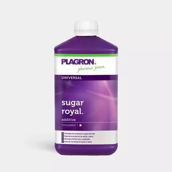 Sugar Royal