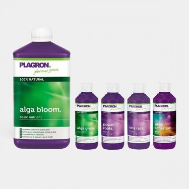 Top Grow Box Bio Productos