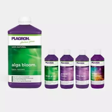 Top Grow Box Bio Productos