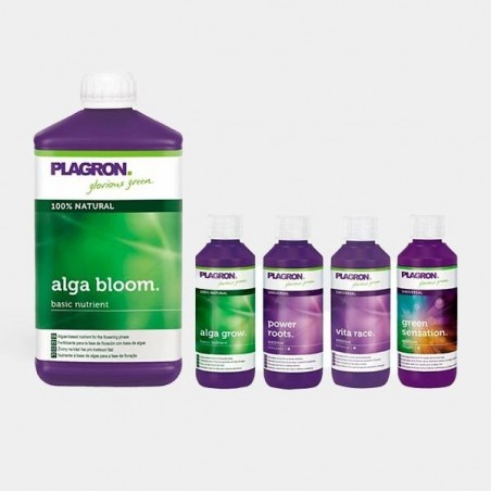 Top Grow Box Bio Productos