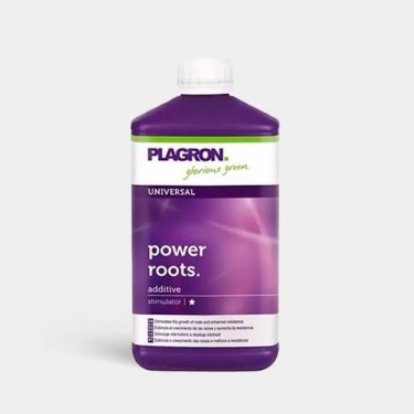 Power Roots 1L