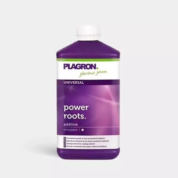 Power Roots 1L