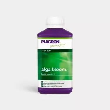 Alga Bloom by Plagron - Grow Barato