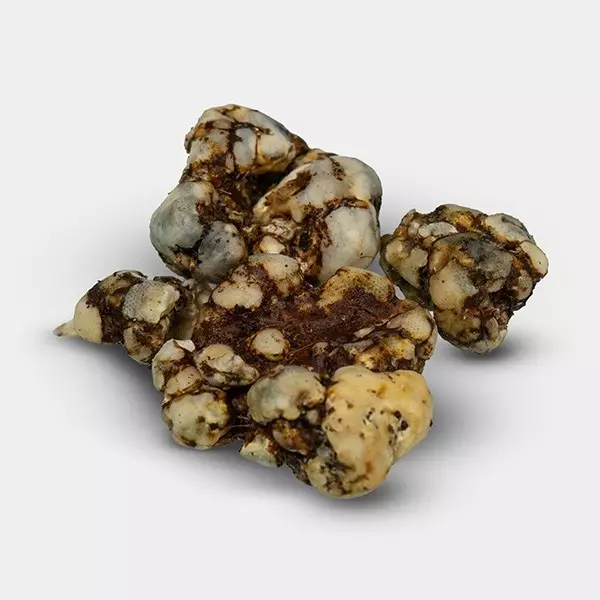 High Hawaiians Truffles detail