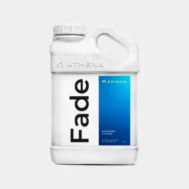 Fade Athena - GB The Green Brand