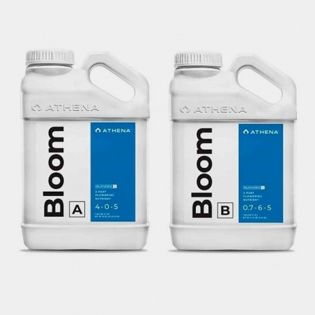 Athena Bloom A+B 3.78L