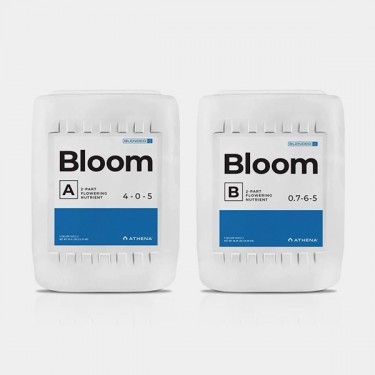 Athena Bloom A+B 18.92L
