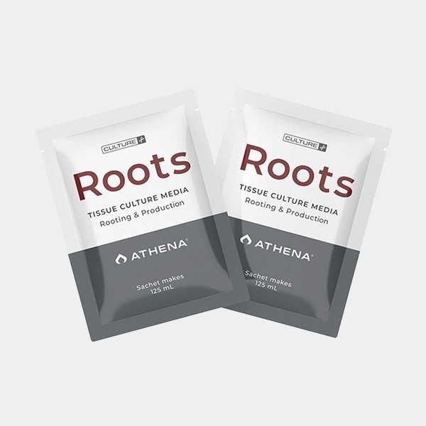 View Athena Roots Culture Media