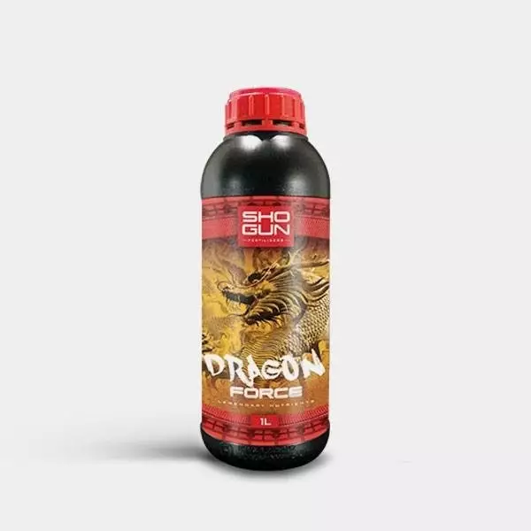 Dragon Force Dragon Force