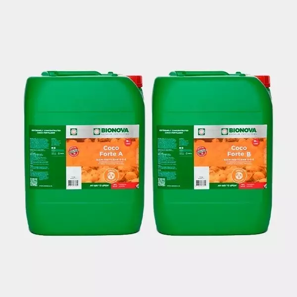 Coco Forte A+B Coco Forte A+B