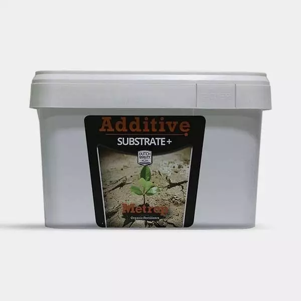 Substrate Plus Substrate Plus