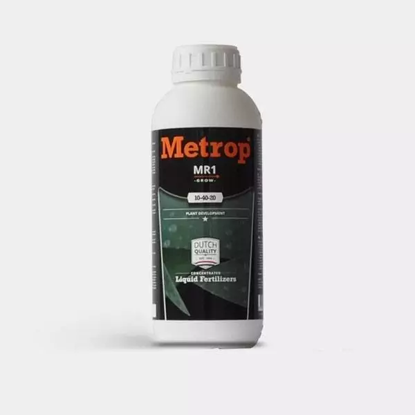 MR-1 Crecimiento (Growth) MR-1 Crecimiento (Growth)