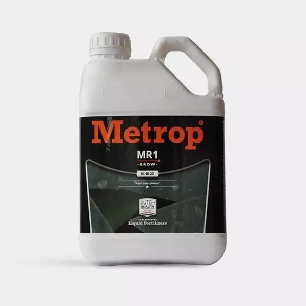 MR-1 Crecimiento 5L