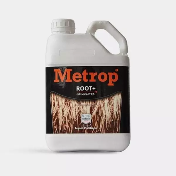 Root+ 5L