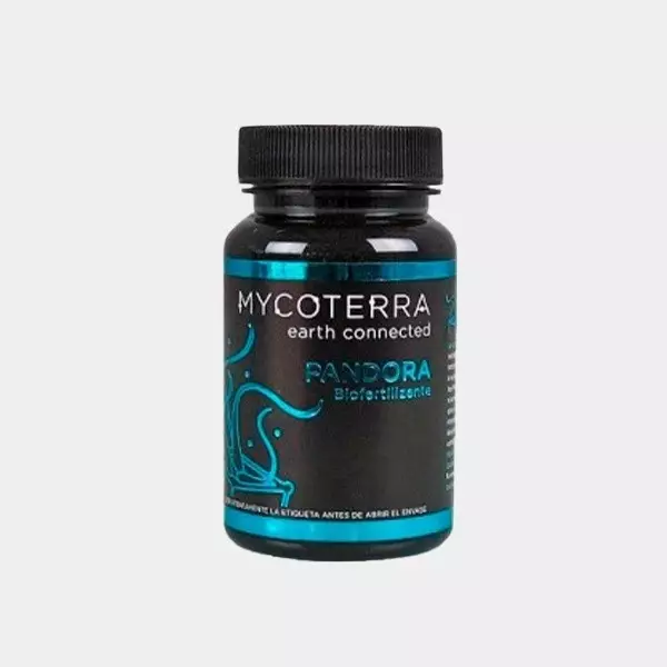 View Pandora Pequeño