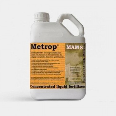 MaM 8 Plantas Madre Grande