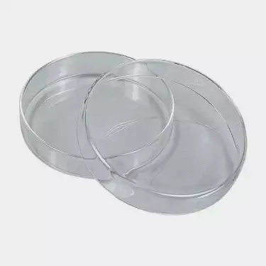 Placa de Petri para Cultivo de Fungos - GB The Green Brand