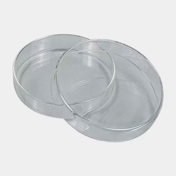 View Placa de Petri 1