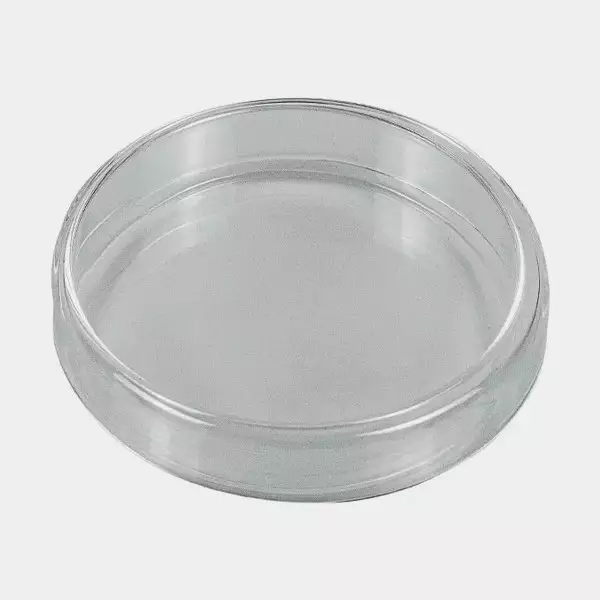 Petri Plate Petri Plate 2