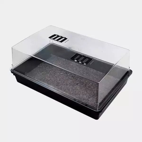 Hard Plastic Propagator