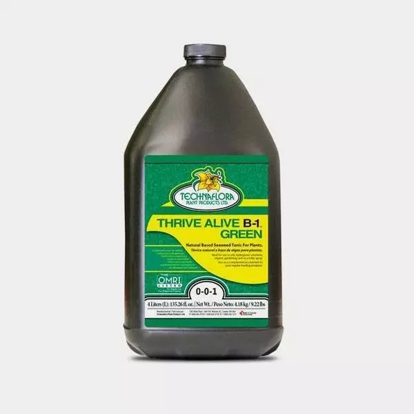 Thrive Alive B1 Green Thrive Alive B1 Green