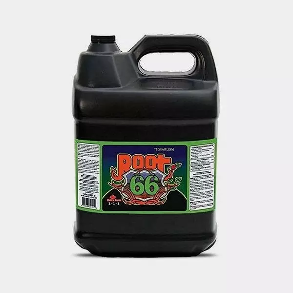 Root 66 10L