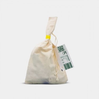 Adalia bipunctata contra pulgón