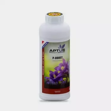 P-Boost by Aptus Holland - Nutrients - GB