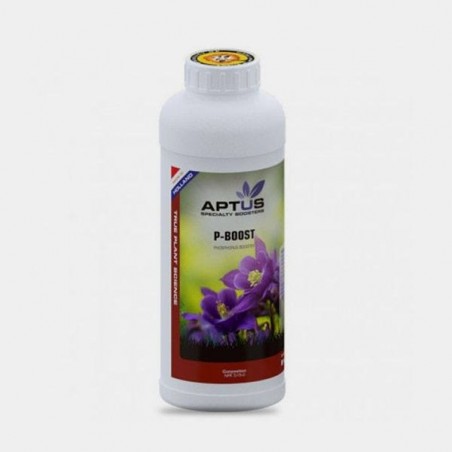P-Boost 1L