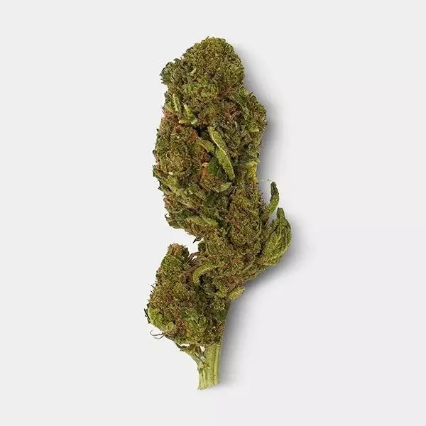 Flores CBD GB 'Los Santos Kush' Flores CBD GB 'Los Santos Kush' flor