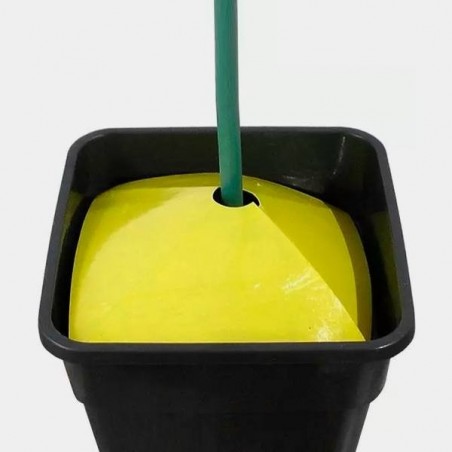Trampas para Insectos de Suelo