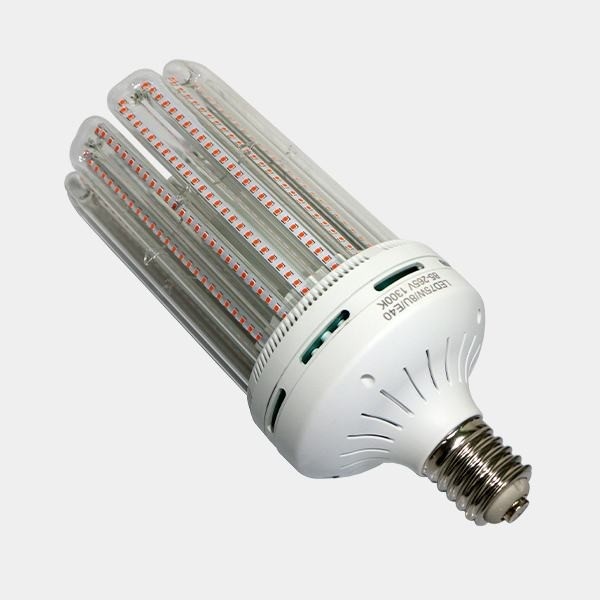 Solux Flowering LED Bulb