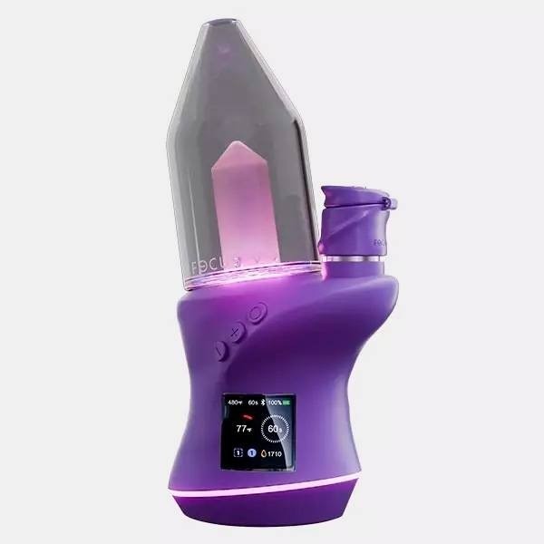 Focus V Carta 2 grape