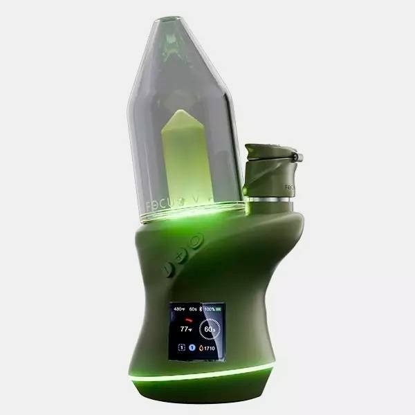 Focus V Carta 2 forest