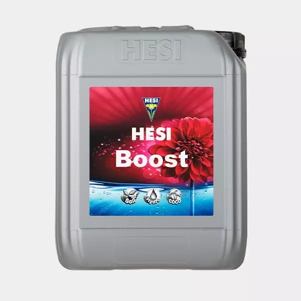 Hesi Boost