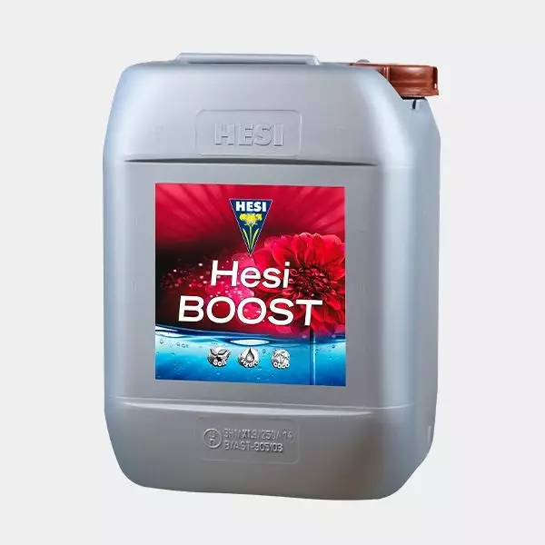 Hesi Boost