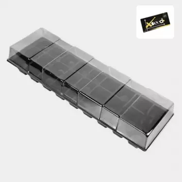 Kit Germinación GB The Green Brand 1