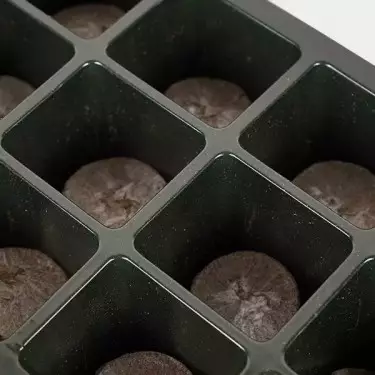 Germination Kit + X-Seed by BAC - GB