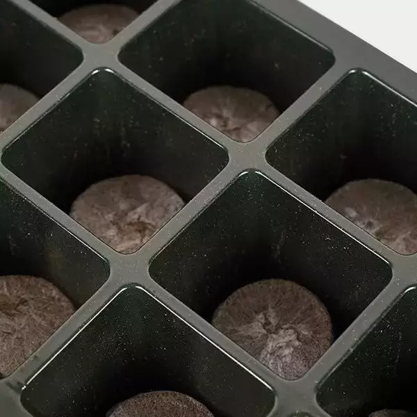 Germination Kit + X-Seed by BAC - GB