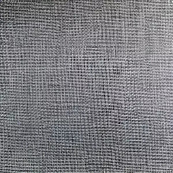 View Anti-Insect net