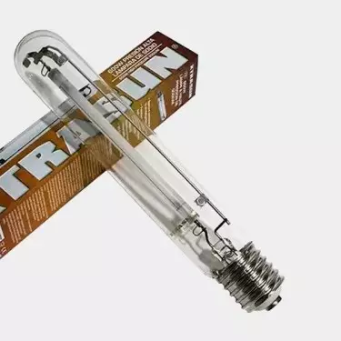 Xtrasun 600-watt Dual Light Bulb - GB