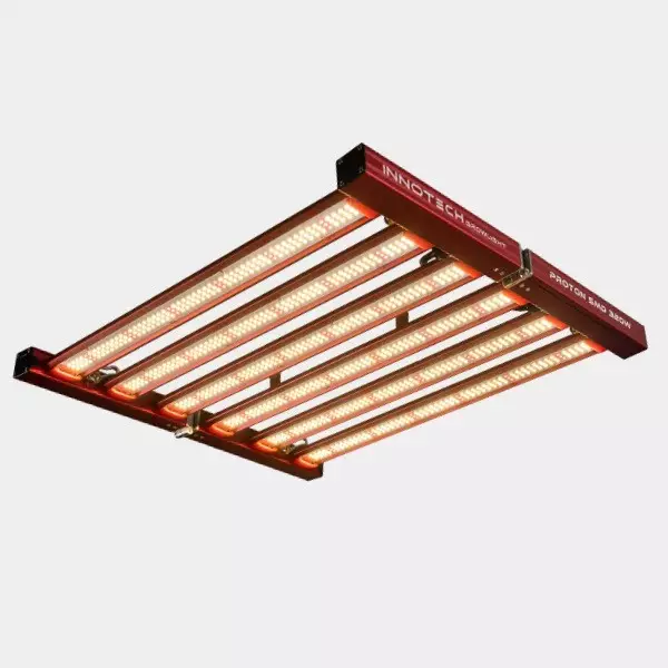 Comprar LED Painel T2 Innotech Master Spectrum SMD - GB